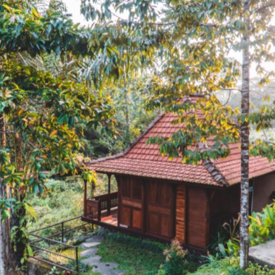 The Jungle Villa Ubud Exterior foto