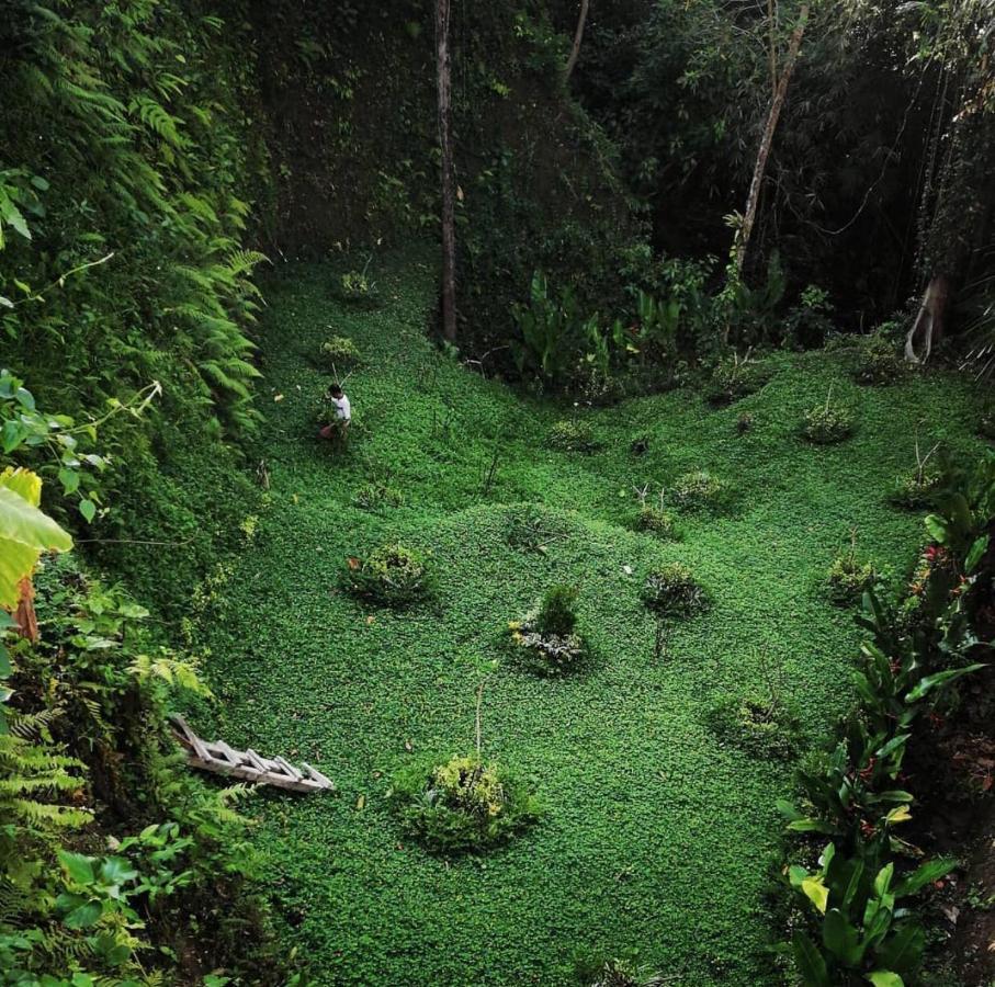 The Jungle Villa Ubud Exterior foto