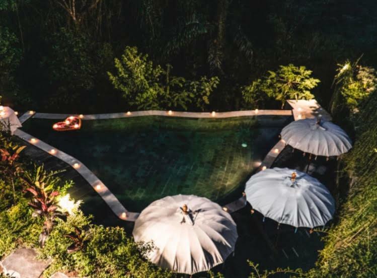 The Jungle Villa Ubud Exterior foto